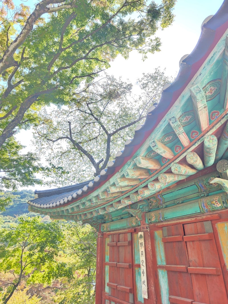 [인천 강화]서울근교 당일치기 사찰여행