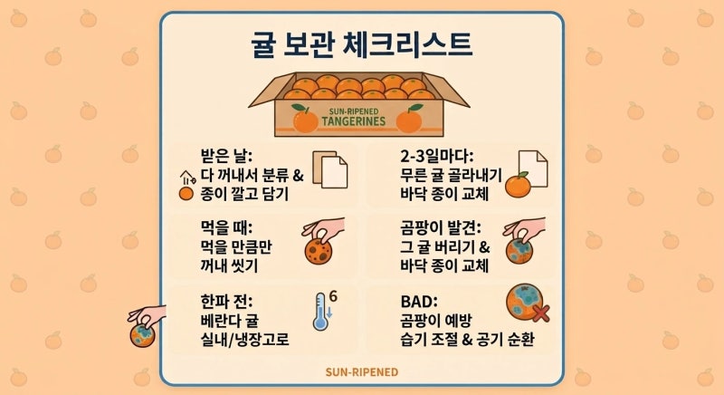 귤 한 박스 샀는데 벌써 곰팡이가… 곰팡이 핀 귤 옆에 있던 귤, 먹어도 될까? (귤 보관법)