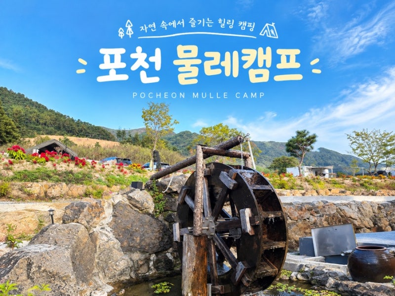 포천 신상 캠핑장 | 물레캠프 / B-1 사이트, 온수수영장 / 포천 이동갈비 직판장