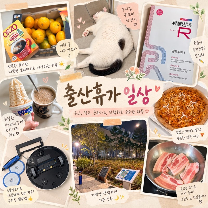 34주차 임산부 출산휴가 일상｜로봇청소기 청소하고 수학문제 풀고 야구 보며 피자 먹은 하....