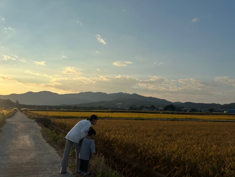 전남 강진여행ㅣ에어비앤비,다산황토방펜션(사랑채),바베큐, 아이랑 가성비 독채 숙소 1박 ....