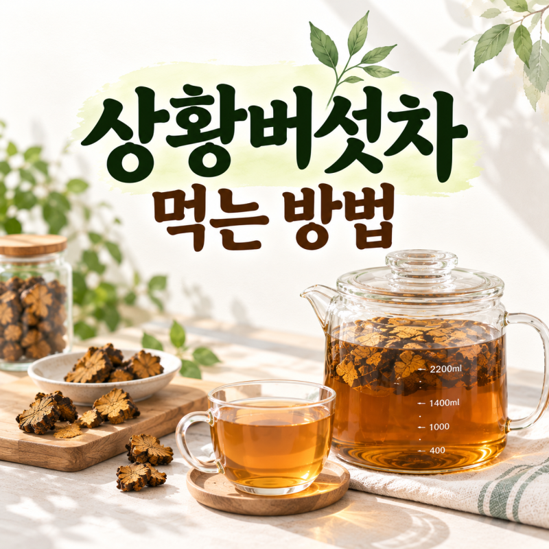 상황버섯 먹는 방법｜물 1L에 몇 g? 끓이는 시간·재탕·보관법