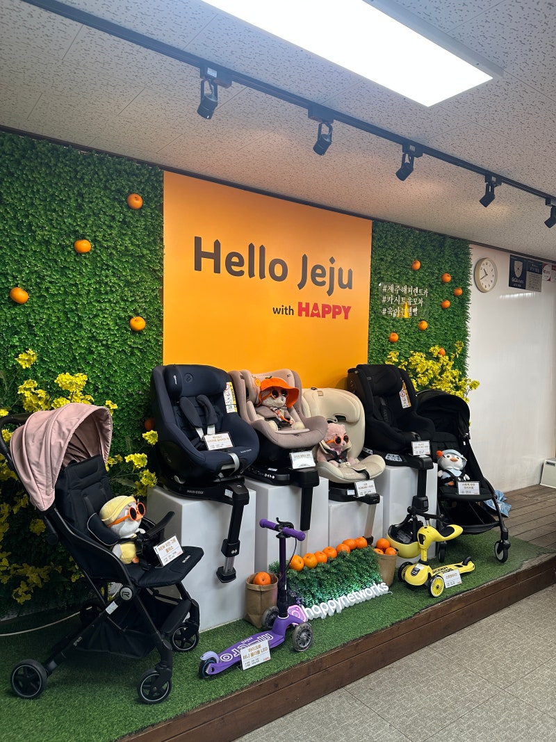 제주도렌트카 18개월 48개월 아기랑 제주해피렌트카 내돈내산 후기