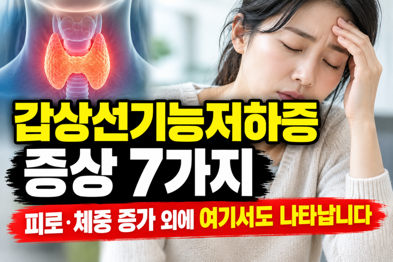 갑상선기능저하증 증상 7가지 — 피로·체중 증가 외에 여기서도 나타납니다