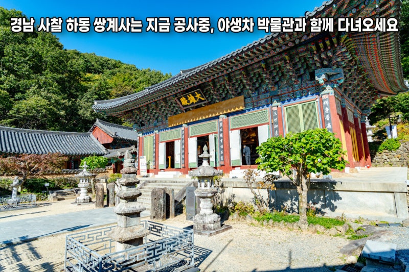경남 사찰 하동 쌍계사는 지금 공사중, 야생차 박물관과 함께 다녀오세요