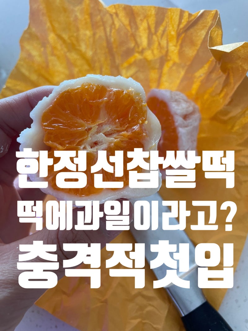 한정선 찹쌀떡 맛, 보관법 ㅣ선물 받고 첫입에 충격받은 솔직 후기
