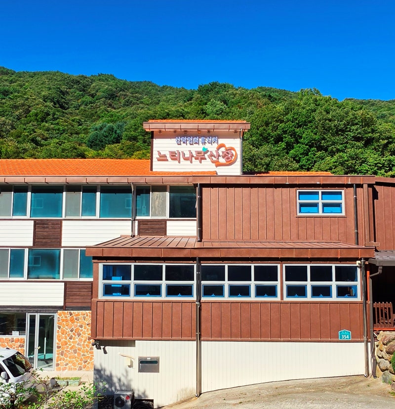 지리산 백무동 숙소 느티나무산장 계곡뷰와 산나물 아침식사 힐링여행