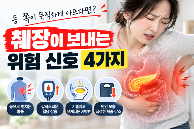 등 쪽이 묵직하게 아프다면? 췌장이 보내는 위험 신호 4가지