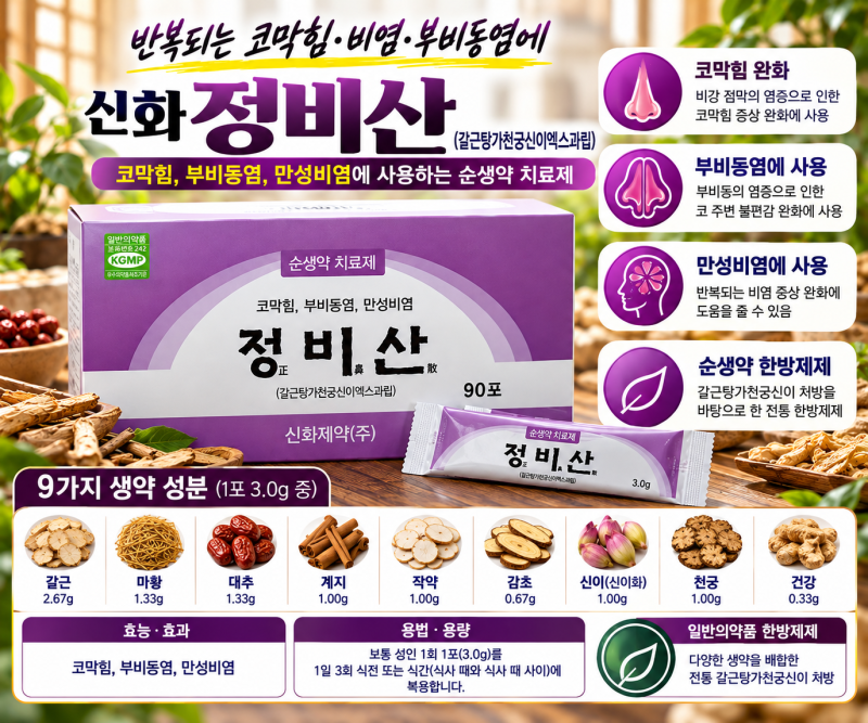 정비산 효능과 성분 총정리｜코막힘·부비동염·만성비염에 사용하는 갈근탕가천궁신이 한....