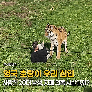 영국 호랑이 우리 침입 사망, 사진 찍으려던 20대 남성은 자폐? 영국 동물원에서 무슨 일?