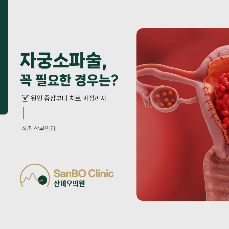 석촌 산부인과 자궁소파술, 꼭 필요한 경우는? 원인 증상부터 치료 과정 한번에 알려드립니....