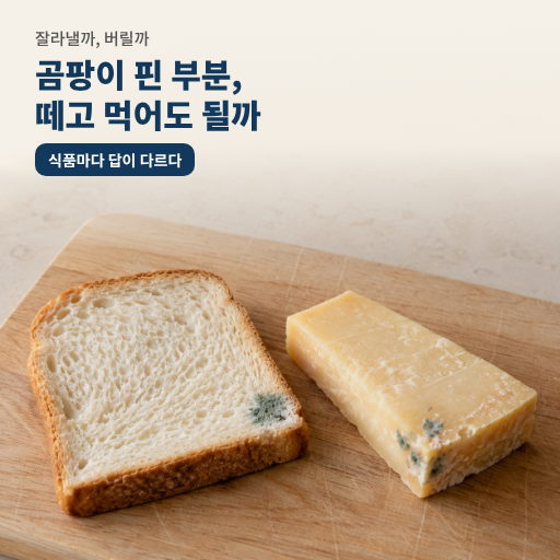 곰팡이 핀 음식, 그 부분만 떼고 먹어도 될까