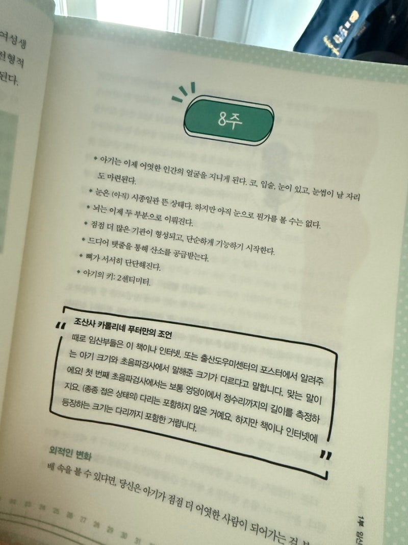[임신 8주차] 오구의 태몽은 문어, 기분 관리와 환기로 이겨내기