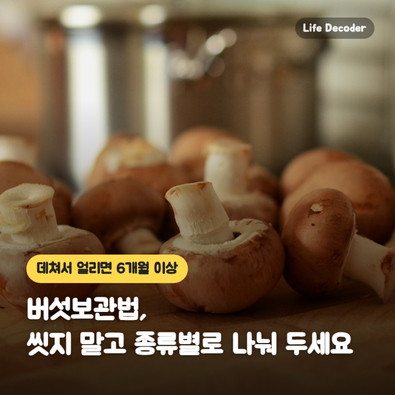 버섯보관법, 씻지 말고 종류별로 나눠 두세요