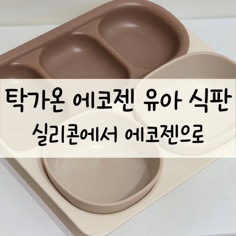 유아 식판 추천 | 탁가온 3구 식판, 한그릇 볼 등 내돈내산 후기