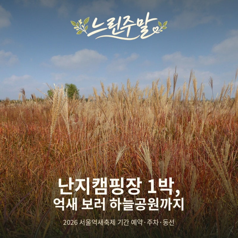 난지캠핑장 예약·주차 정리, 서울억새축제 기간 하늘공원까지 걷는 1박 코스