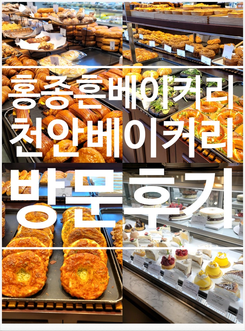 천안 빵집 추천 홍종흔베이커리｜빵 좋아하면 들러볼 만한 곳