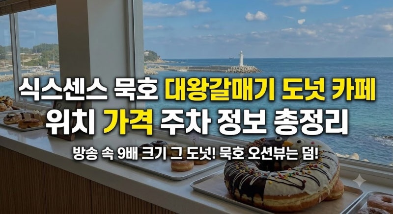 식스센스 묵호 대왕갈매기 도넛 가격 카페 위치 주차 총정리