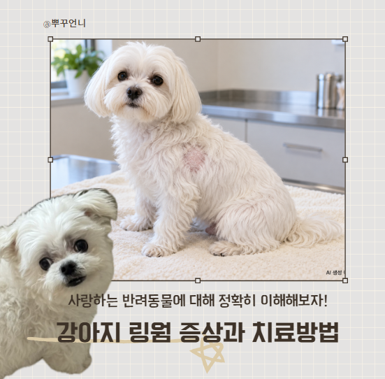 강아지링웜 증상과 치료방법, 연고만 발라도 될까요?