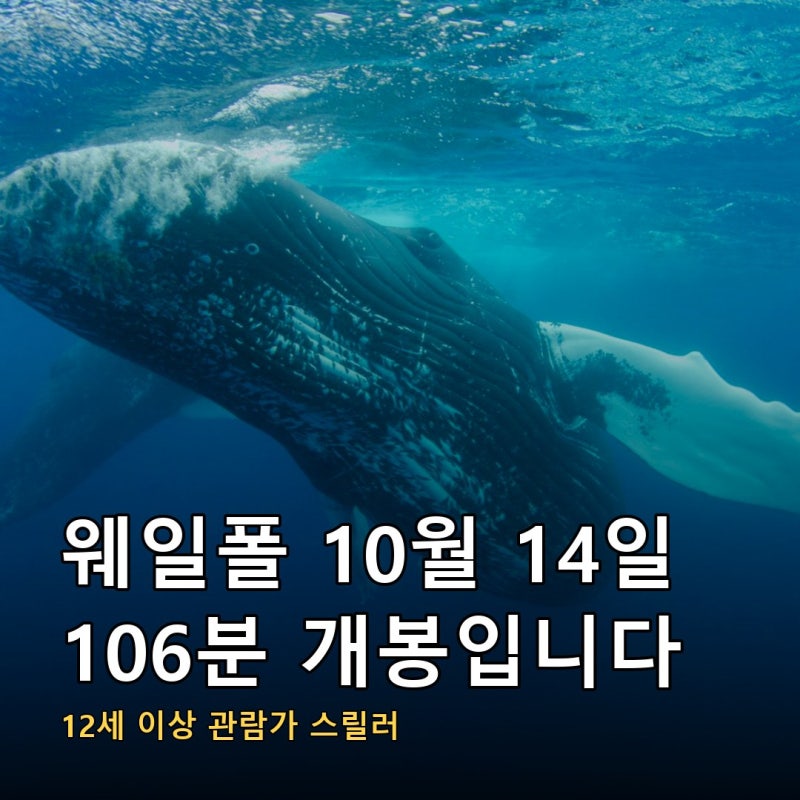 웨일폴 고래에 먹힌 남자 10월 14일 개봉 106분인데, 완전히 지어낸 이야기가 아닙니다