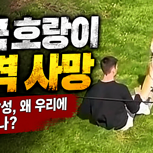 영국 호랑이 공격 사망 사건  20대 남성은 왜 스스로 우리에 들어갔을까? 춤추던 모습과 목격....
