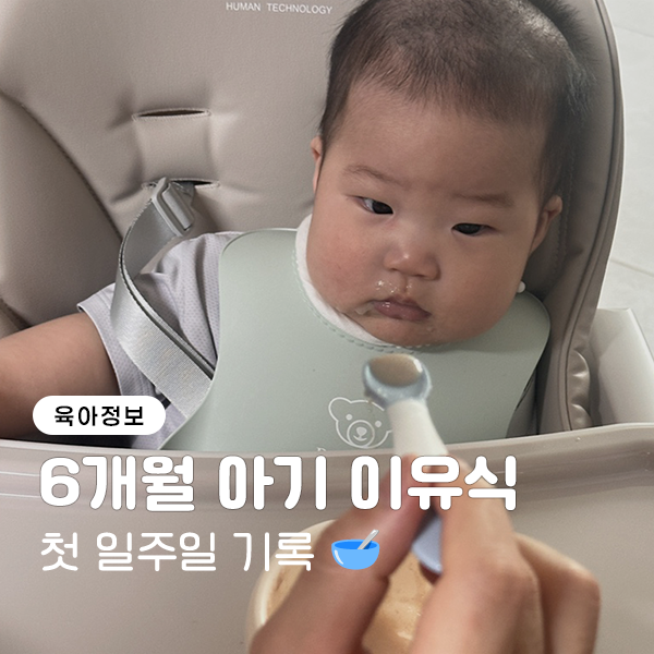 6개월 아기 초기 이유식 첫 일주일 기록, 미음부터 소고기까지