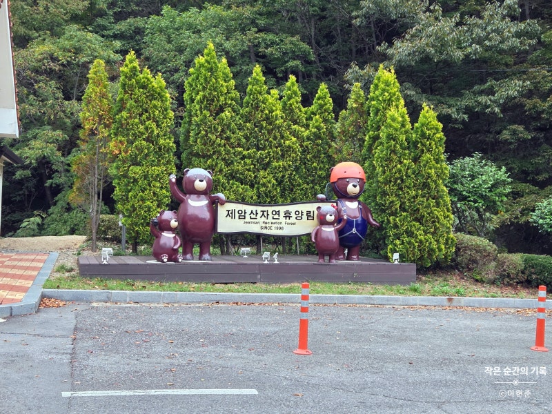 전남광주 보성 제암산자연휴양림 2편 / 곰썰매와 에코어드벤처, 녹차밭에서 차로 20분거리