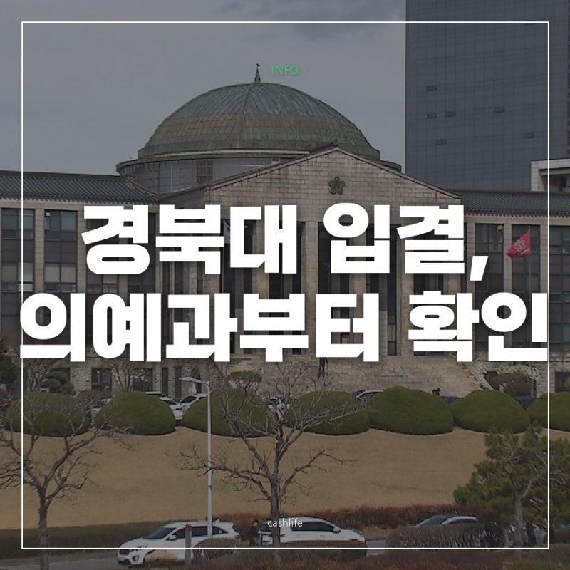 경북대 수능 몇 등급이면 갈 수 있을까? 학과마다 정시 등급컷이 꽤 달랐어요