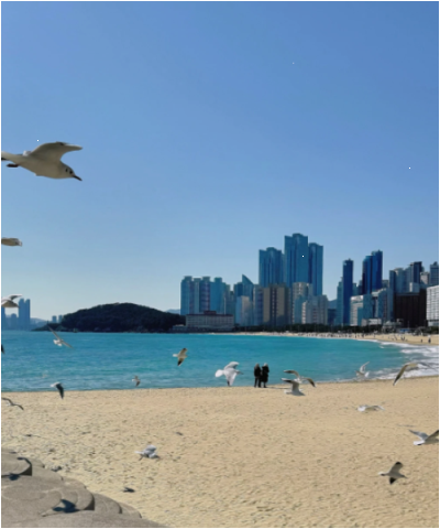 남자 탈모약 임신 준비 중 복용 타이밍과 주의사항 총정리