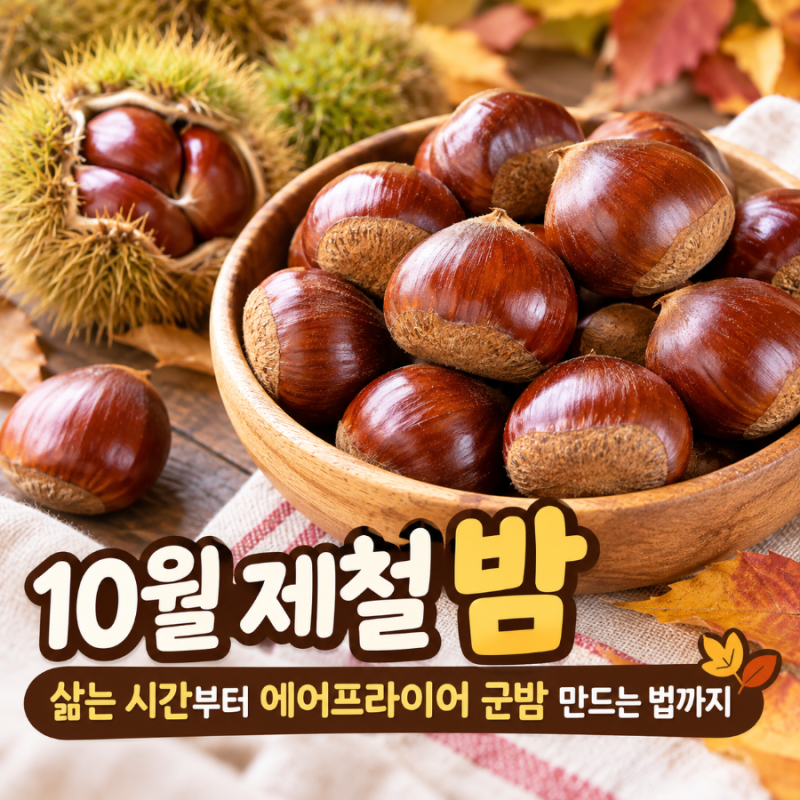 10월 제철 밤, 삶는 시간부터 에어프라이어 군밤 만드는 법까지