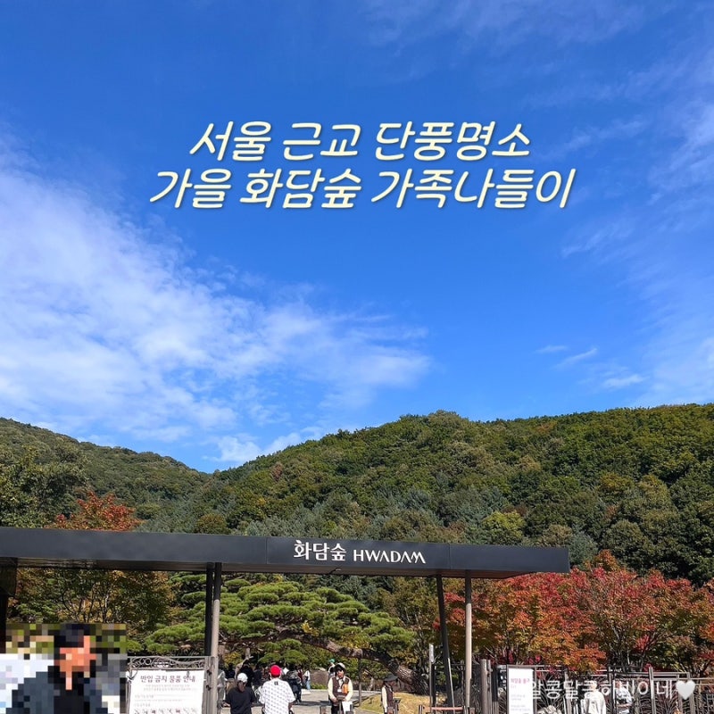 [경기도 광주시 데이트] 서울 근교 아기와 가볼만한 곳 _ 곤지암 화담숲 가을 나들이 추천 후....