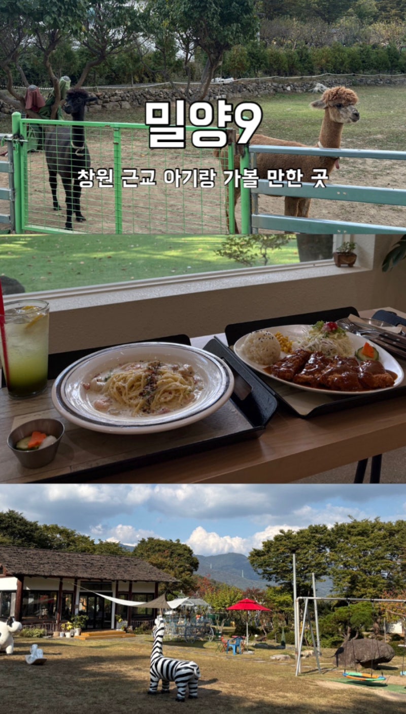 창원 근교 아기랑 가볼만한 카페 밀양9