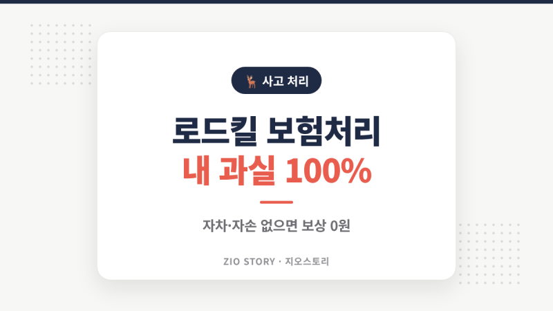 로드킬 보험처리, 고라니 사고는 내 과실 100%… 자차 없으면 수리비 전액 내 돈입니다