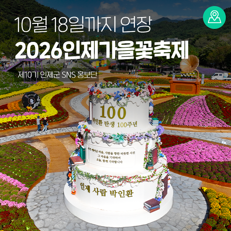 2026인제가을꽃축제 10월 18일까지 연장｜용대리 국화·구절초 절정, 인제가볼만한곳