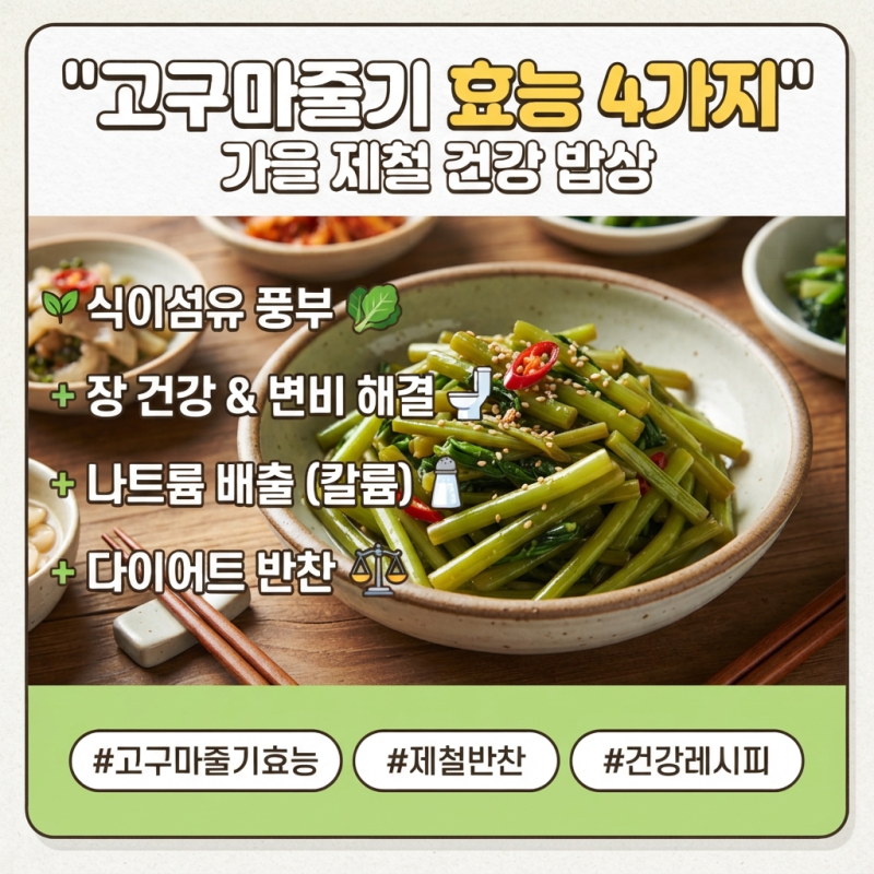 영양 가득 가을 고구마줄기 효능과 손질법! 다이어트 반찬으로 좋은 이유