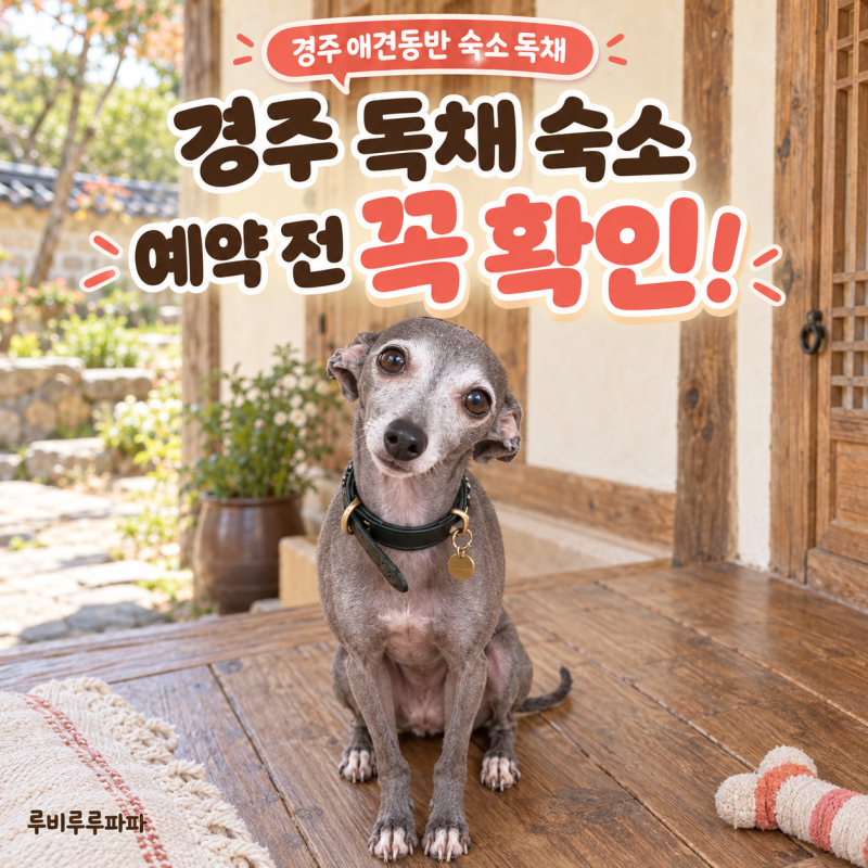 경주 애견동반 숙소 독채, 예약 전에 꼭 확인해요