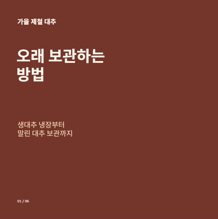 가을 제철 대추 오래 보관하는 방법