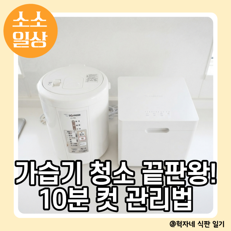 조지루시 구연산 자동세척부터 케어팟 식세기 활용까지! 겨울철 가습기 세척 꿀팁 총정리