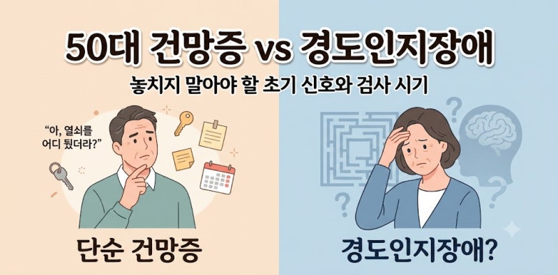 50대 건망증과 경도인지장애의 차이: 놓치지 말아야 할 초기 신호와 검사 시기
