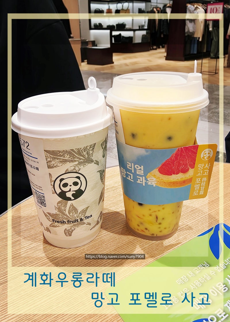 대구 신세계백화점 차백도 인기 메뉴 망고포멜로사고 계화우롱라떼 솔직 후기