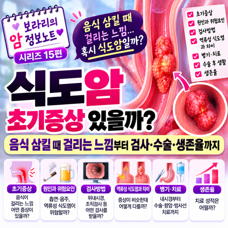 식도암 초기증상 있을까? 음식 삼킬 때 걸리는 느낌부터 내시경·수술·생존율까지｜암 정보....