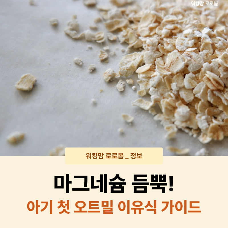 초기이유식 오트밀, 꼭 먹여야 할까? 아기 마그네슘 효능과 똑똑한 활용법