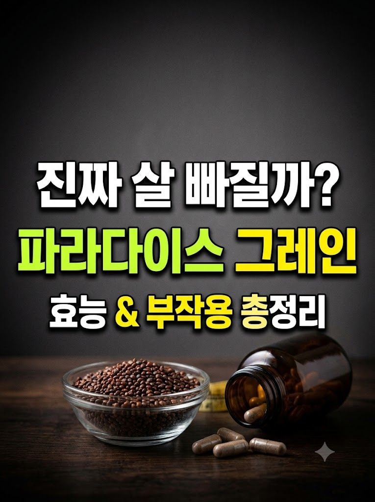 파라다이스 그레인 효능과 부작용 총정리｜6-파라돌 내장지방 감소 다이어트 임상 결과와 복....