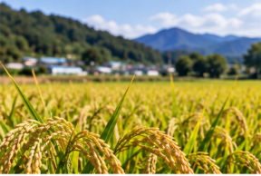 2026 농지 전수조사 처분 제외 대상 확대…상속농지·임대농지 소유자라면 꼭 확인할 조건