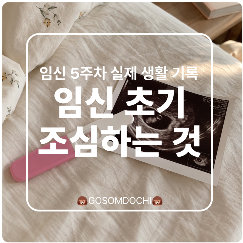 임신 초기 주의사항, 임신 5주 차 집안일·외출·음식 생활 변화