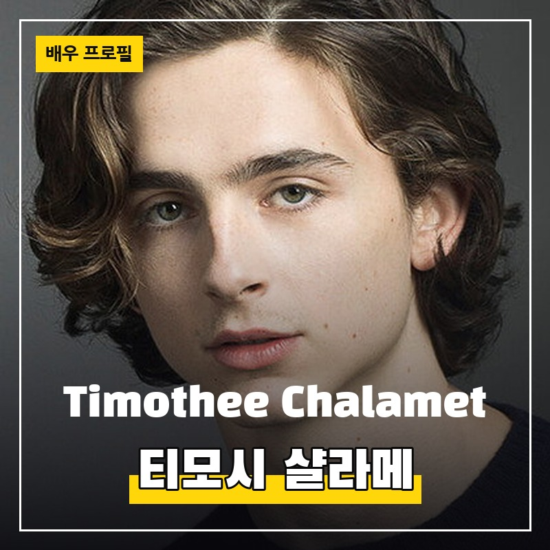 티모시 샬라메 Timothée Chalamet (1995.12.27) 배우 프로필 필모그래피