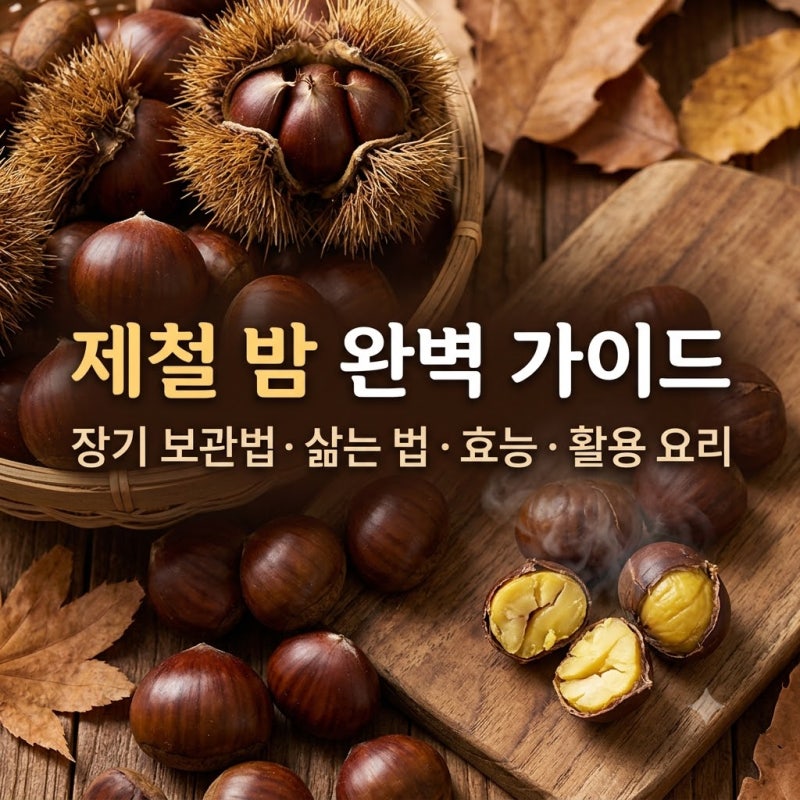 제철 밤 완벽 가이드: 밤 장기 보관법, 밤 삶는 , 밤 효능 및 활용 요리