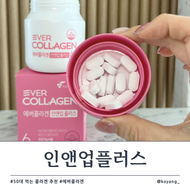 50대 먹는 콜라겐 추천1위 에버콜라겐 인앤업플러스 50대 선물 추천템