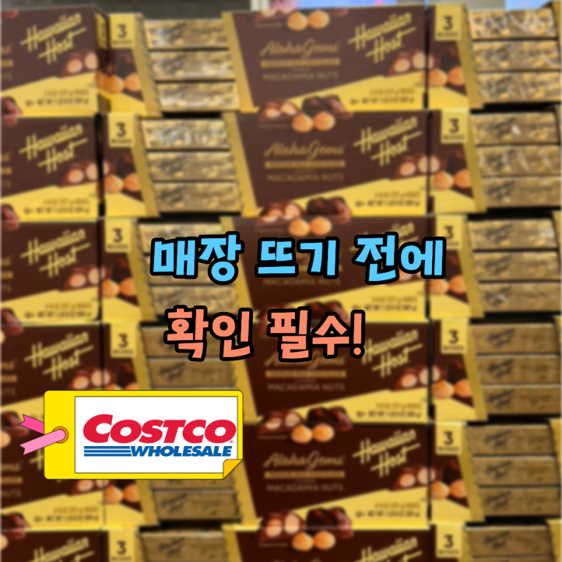「이게 아직 남아있다고?」 코스트코 초콜릿 추천, 보자마자 집어온 "이 제품"