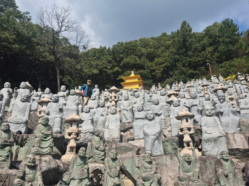 창원 진해 당일치기 여행 코스 부모님 추천 귀산돈까스 삼밀사 진해루